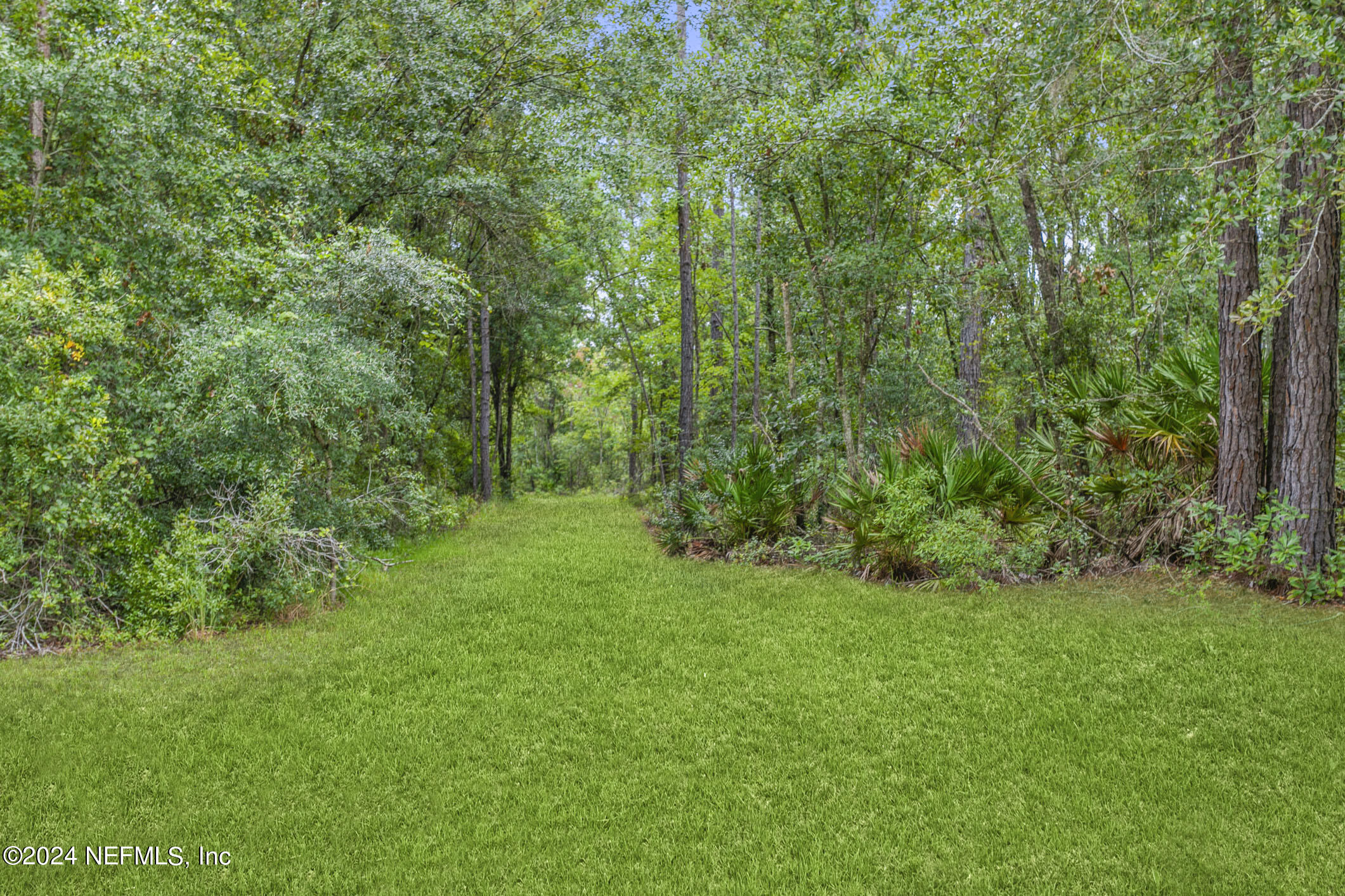 2089 Mallard Road Middleburg, FL 32068 - Photo 27 of 52 2089 Mallard (5)