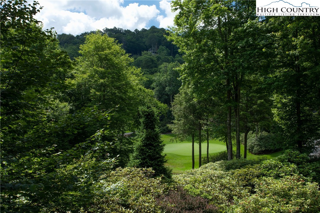 901 Clubhouse Road, Unit A3 Linville, NC 28646 - Photo 5 of 27 Gallery Image 5
