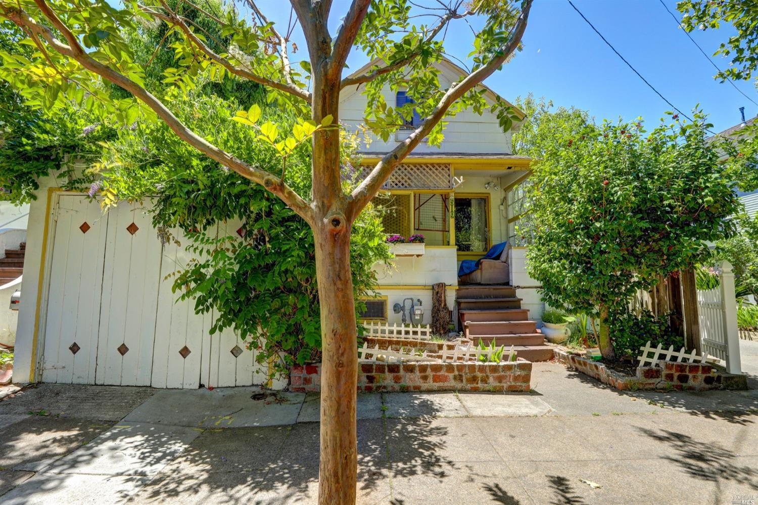 a view of a house with potted plants and a large tree