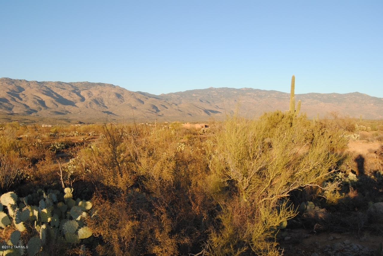 8242 South Circle R Ranch Place, Unit 323 Vail, AZ 85641 - Photo 7 of 21 Gallery Image 7