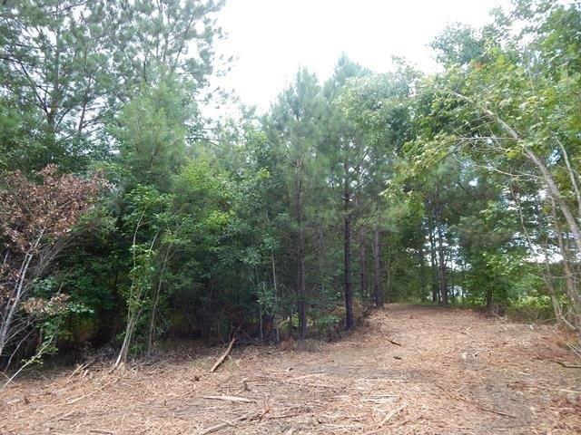 0 Cousan Road Loranger, LA 70446 - Photo 18 of 24 Gallery Image 18