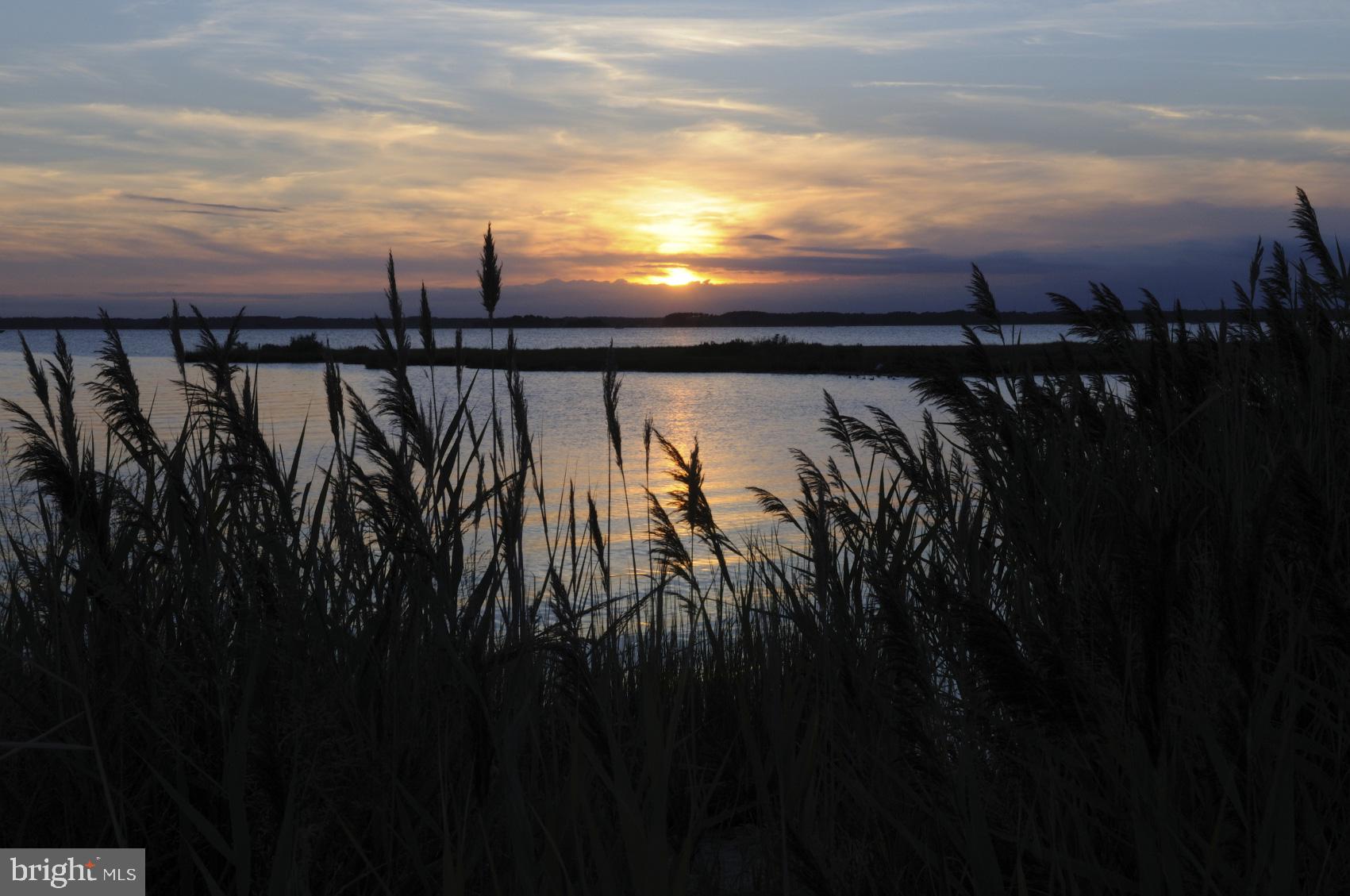 12108 Coastal Highway, Unit 301C Ocean City, MD 21842 - Photo 3 of 17 Norhside park jus blocks away
