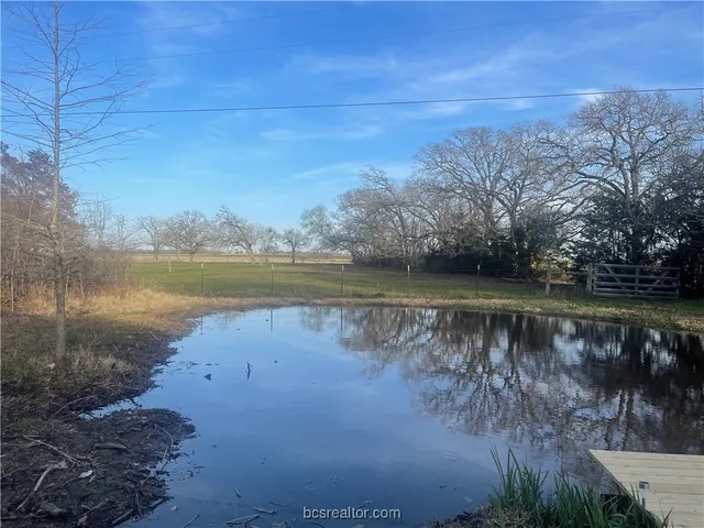 a view of a field with trees in the background