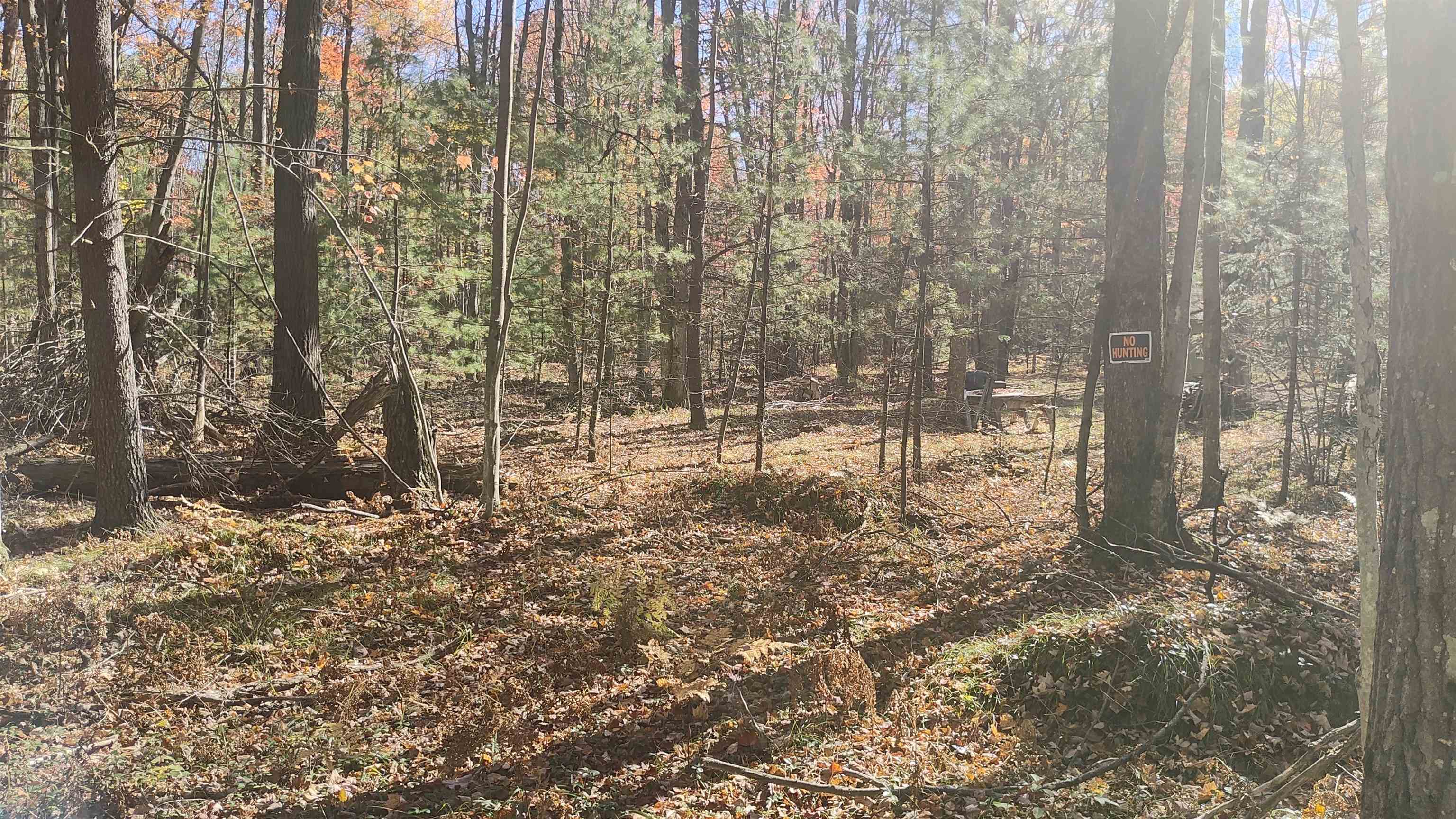 0 Timber Trail Prescott, MI 48756 - Photo 38 of 44
