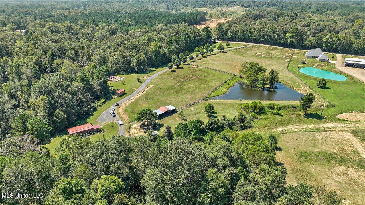 271 West Petros Road Pearl, MS 39208 - Photo 35 of 43 46-271 W Petros Rd