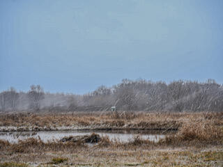 1991 North Concord Road Albion, MI 49224 - Photo 22 of 39 DSC00615