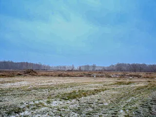 $1,500,000 | 1991 North Concord Road, Albion, MI 49224