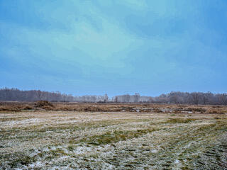 1991 North Concord Road Albion, MI 49224 - Photo 25 of 39 DSC00612