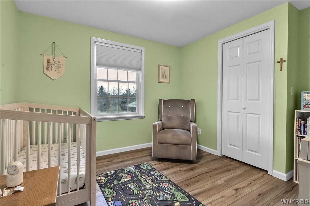 4351 South Newstead Road Newstead, NY 14001 - Photo 44 of 47