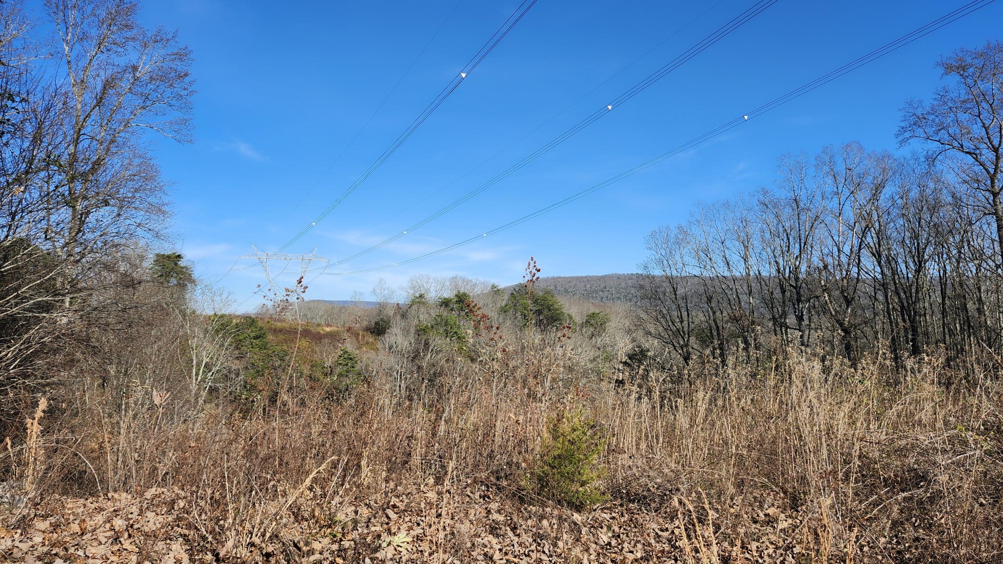 0 Rector Road Jasper, TN 37347 - Photo 8 of 14