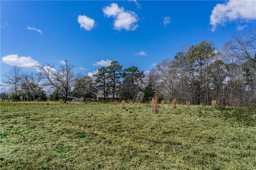 30 Brown Road Phenix City, AL 36869 - Photo 4 of 13 Gallery Image 4