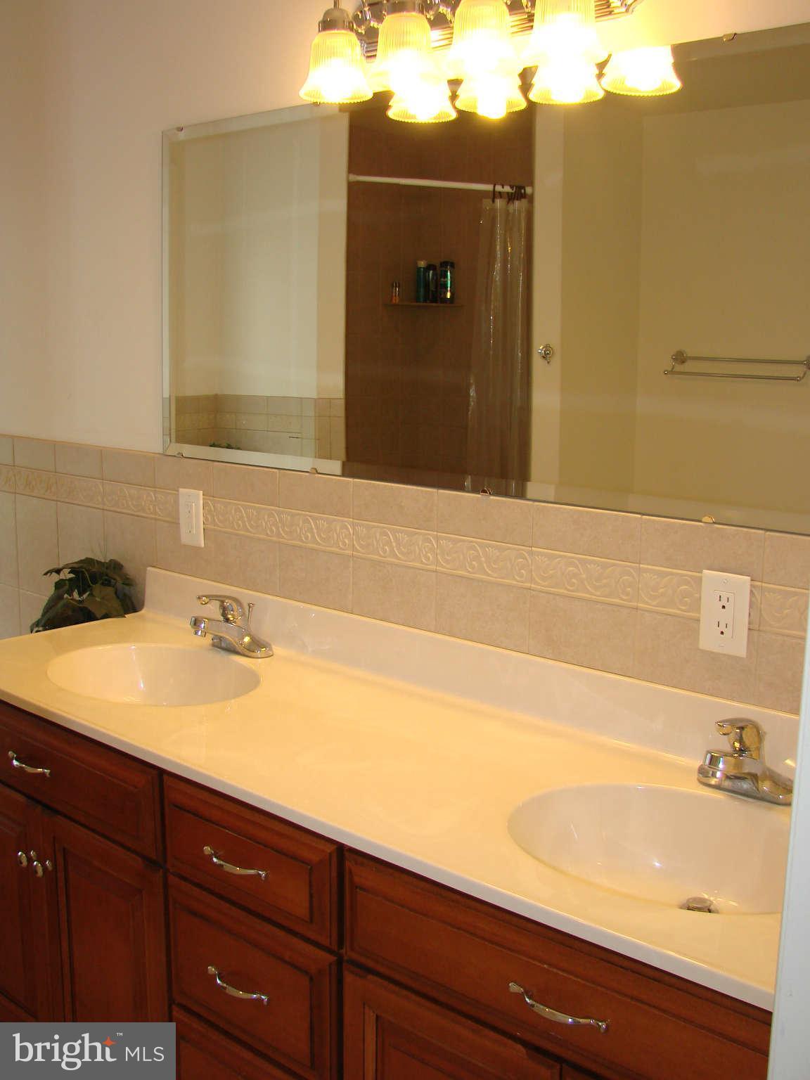 16107 Shaffer Road Sharpsburg, MD 21782 - Photo 22 of 30 Bath (Master)
