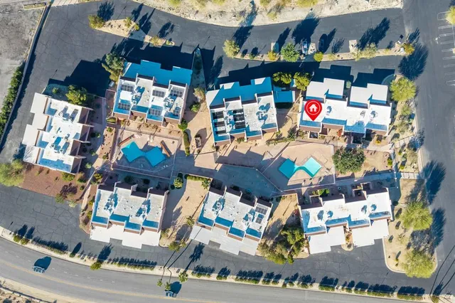 a store area with lots of different kinds of flowers