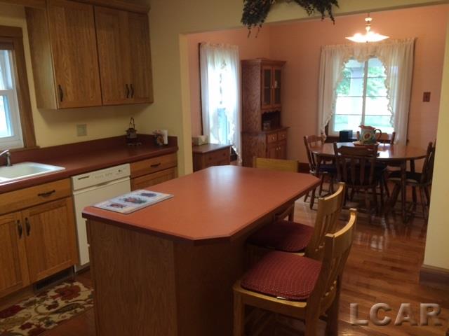 13905 East Horton Road Riga, MI 49276 - Photo 20 of 21 31293684-19.JPG