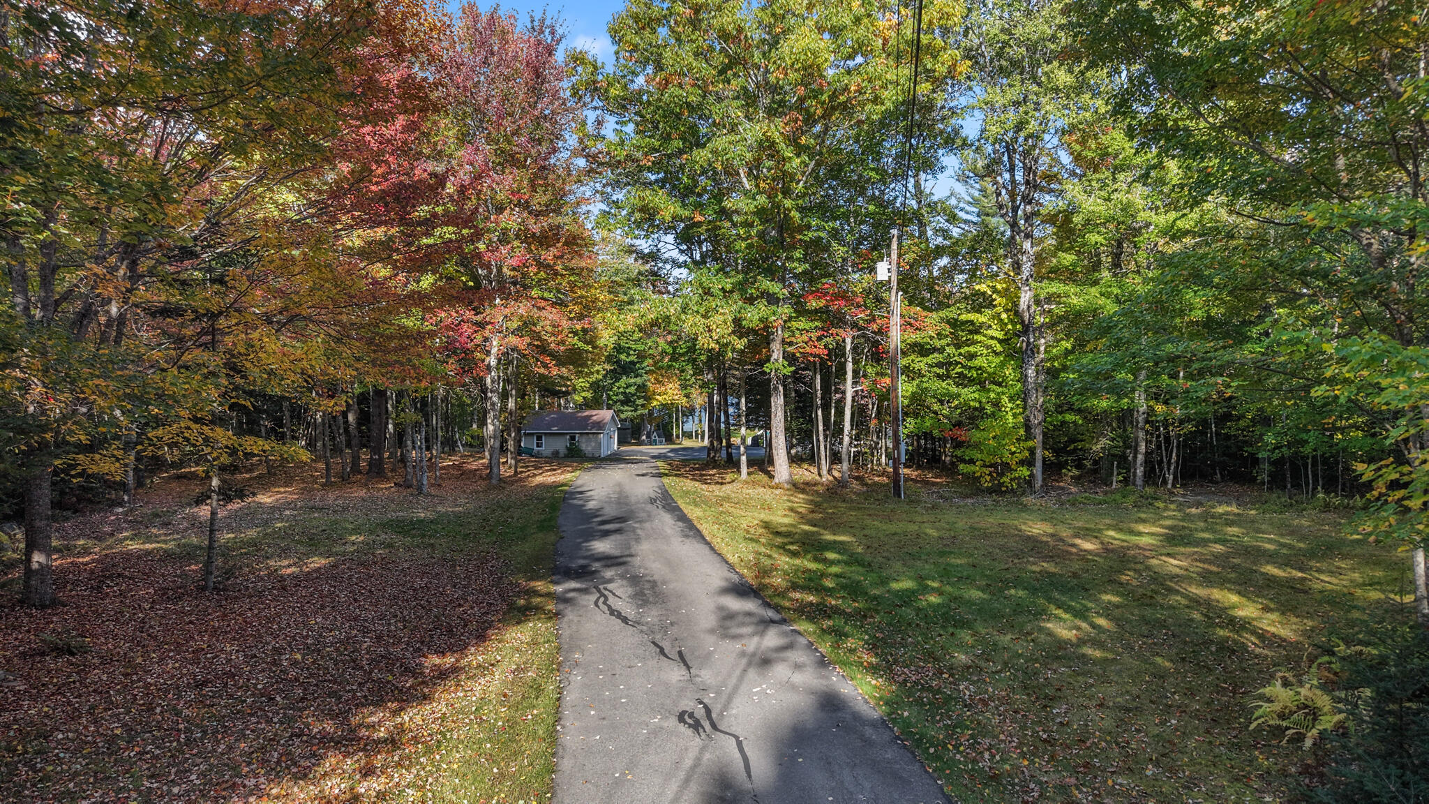 143 Patten Pond Road Surry, ME 04684 - Photo 9 of 91 dji_fly_20261007_145550_0233_17914179843