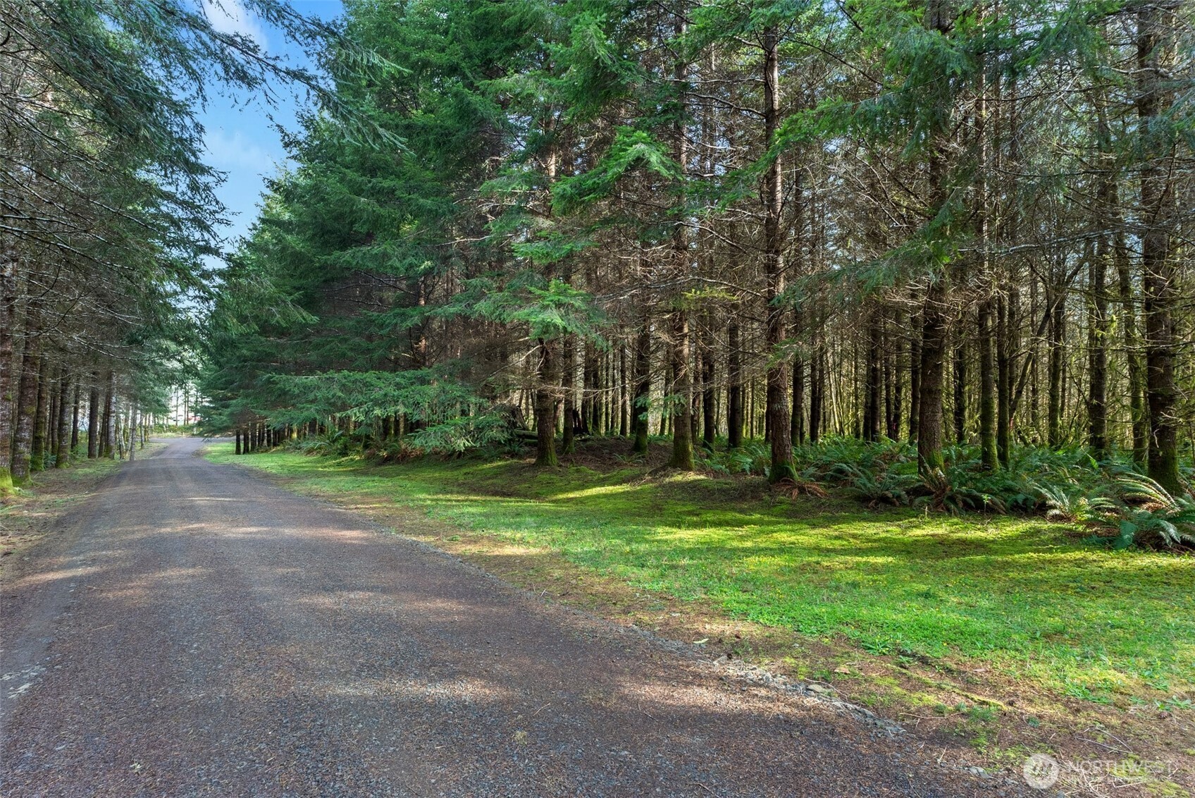 -xx South Fork Road Raymond, WA 98577 - Photo 1 of 19 Gallery Image 1