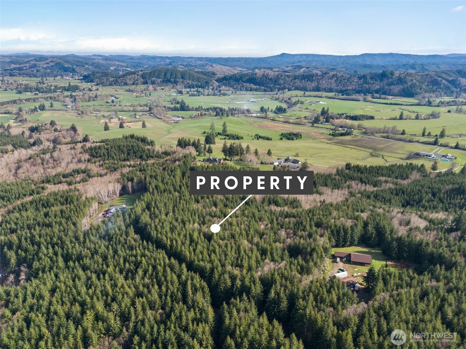 -xx South Fork Road Raymond, WA 98577 - Photo 11 of 19 Gallery Image 11