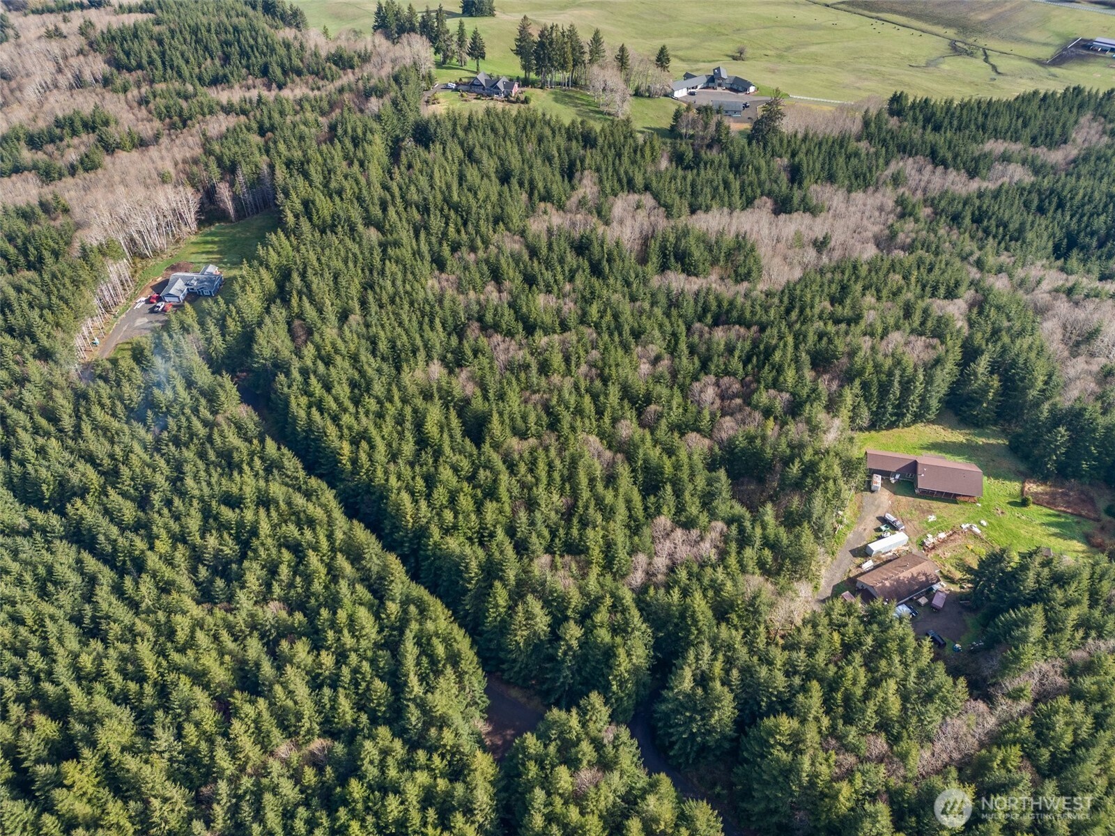 -xx South Fork Road Raymond, WA 98577 - Photo 14 of 19 Gallery Image 14