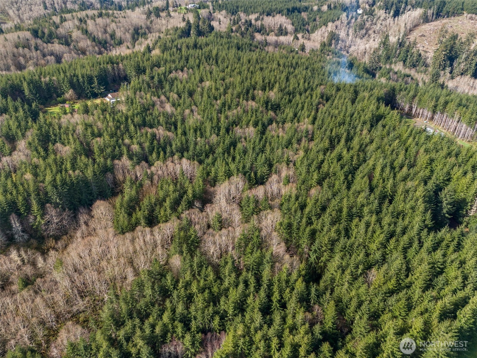 -xx South Fork Road Raymond, WA 98577 - Photo 15 of 19 Gallery Image 15