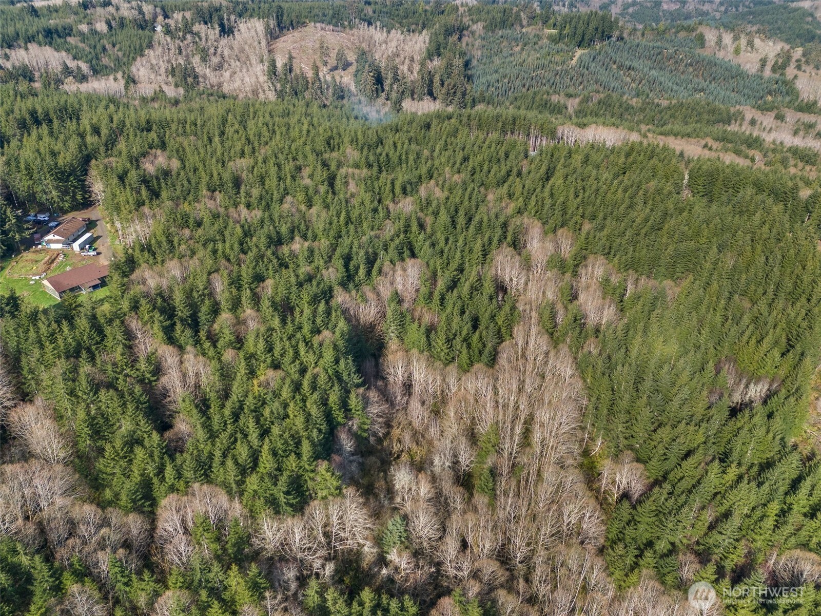 -xx South Fork Road Raymond, WA 98577 - Photo 16 of 19 Gallery Image 16