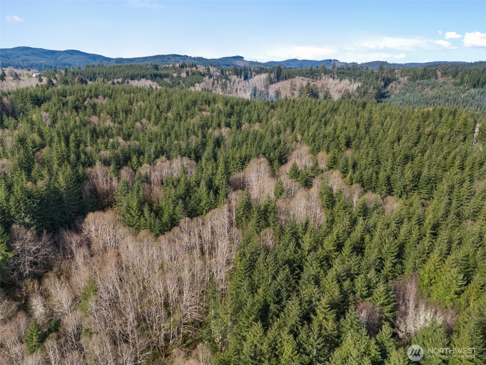 -xx South Fork Road Raymond, WA 98577 - Photo 17 of 19 Gallery Image 17