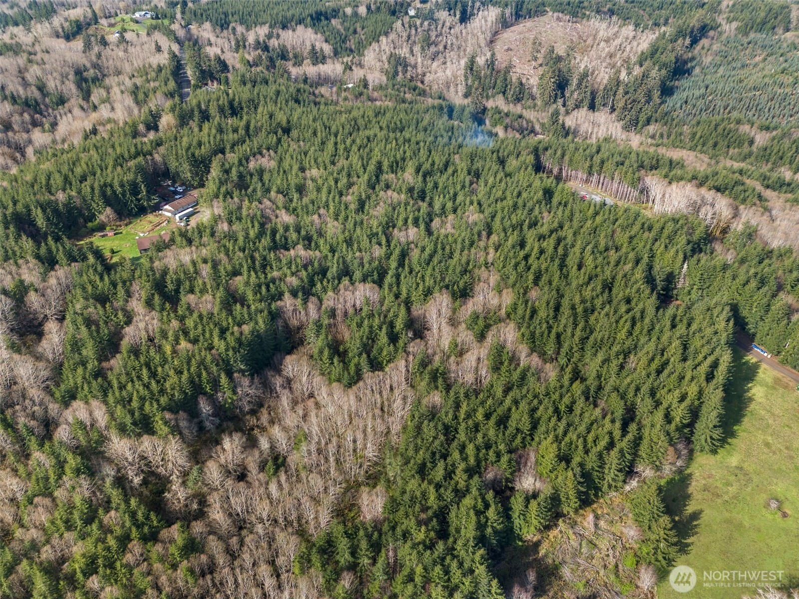 -xx South Fork Road Raymond, WA 98577 - Photo 19 of 19 Gallery Image 19