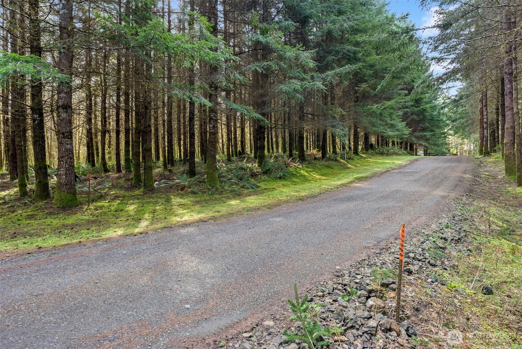 -xx South Fork Road Raymond, WA 98577 - Photo 5 of 19 Gallery Image 5