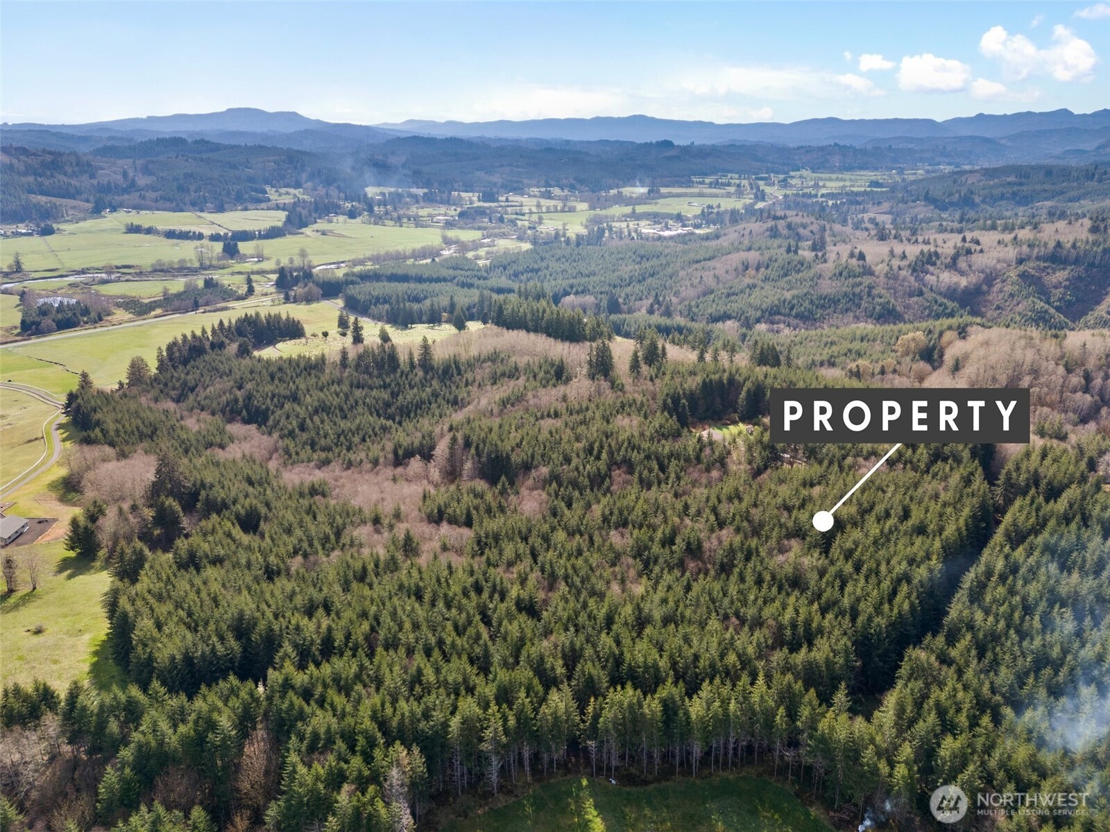 -xx South Fork Road Raymond, WA 98577 - Photo 7 of 19 Gallery Image 7
