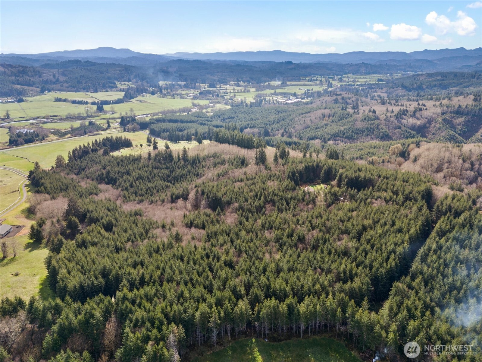 -xx South Fork Road Raymond, WA 98577 - Photo 8 of 19 Gallery Image 8