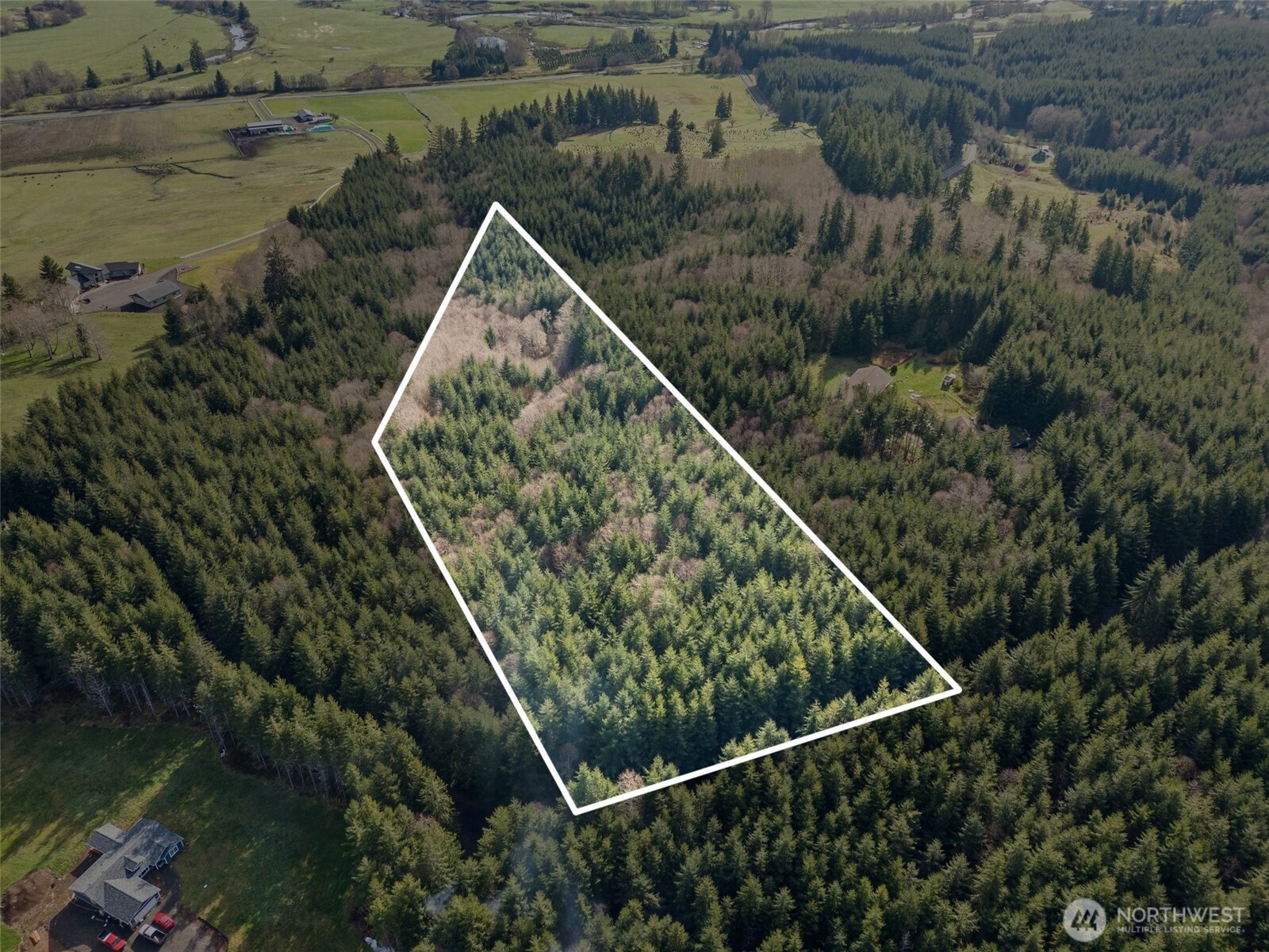 -xx South Fork Road Raymond, WA 98577 - Photo 9 of 19 Gallery Image 9