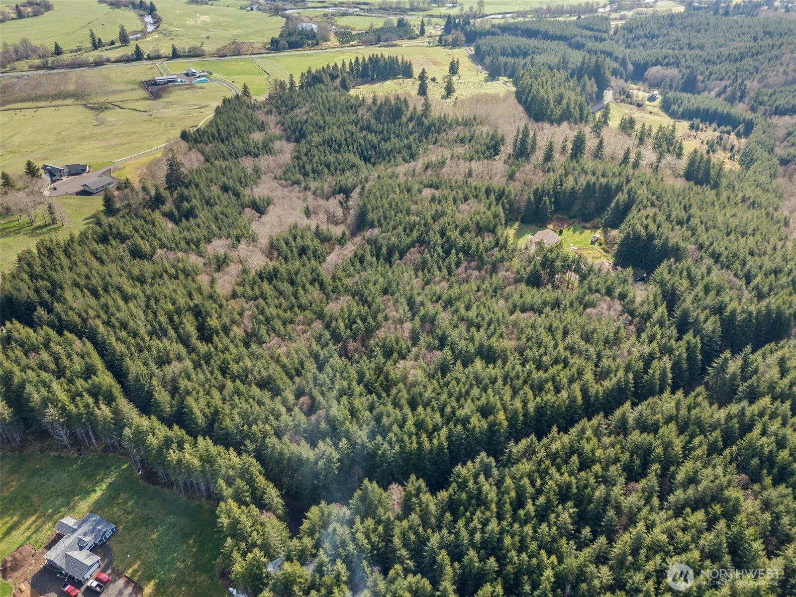 -xx South Fork Road Raymond, WA 98577 - Photo 10 of 19 Gallery Image 10