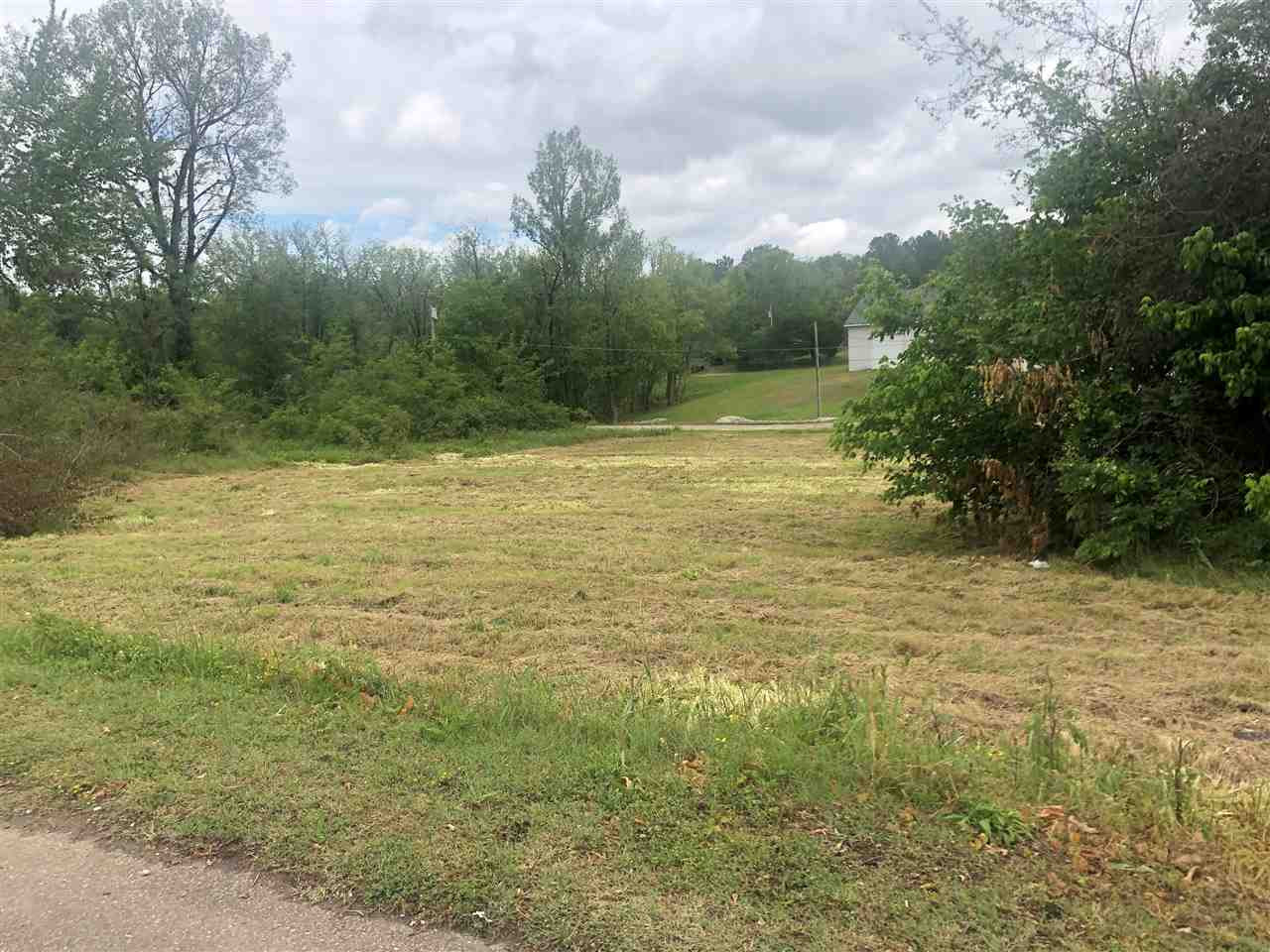 West North Street Decaturville, TN 38329 - Photo 1 of 1 Photo 1