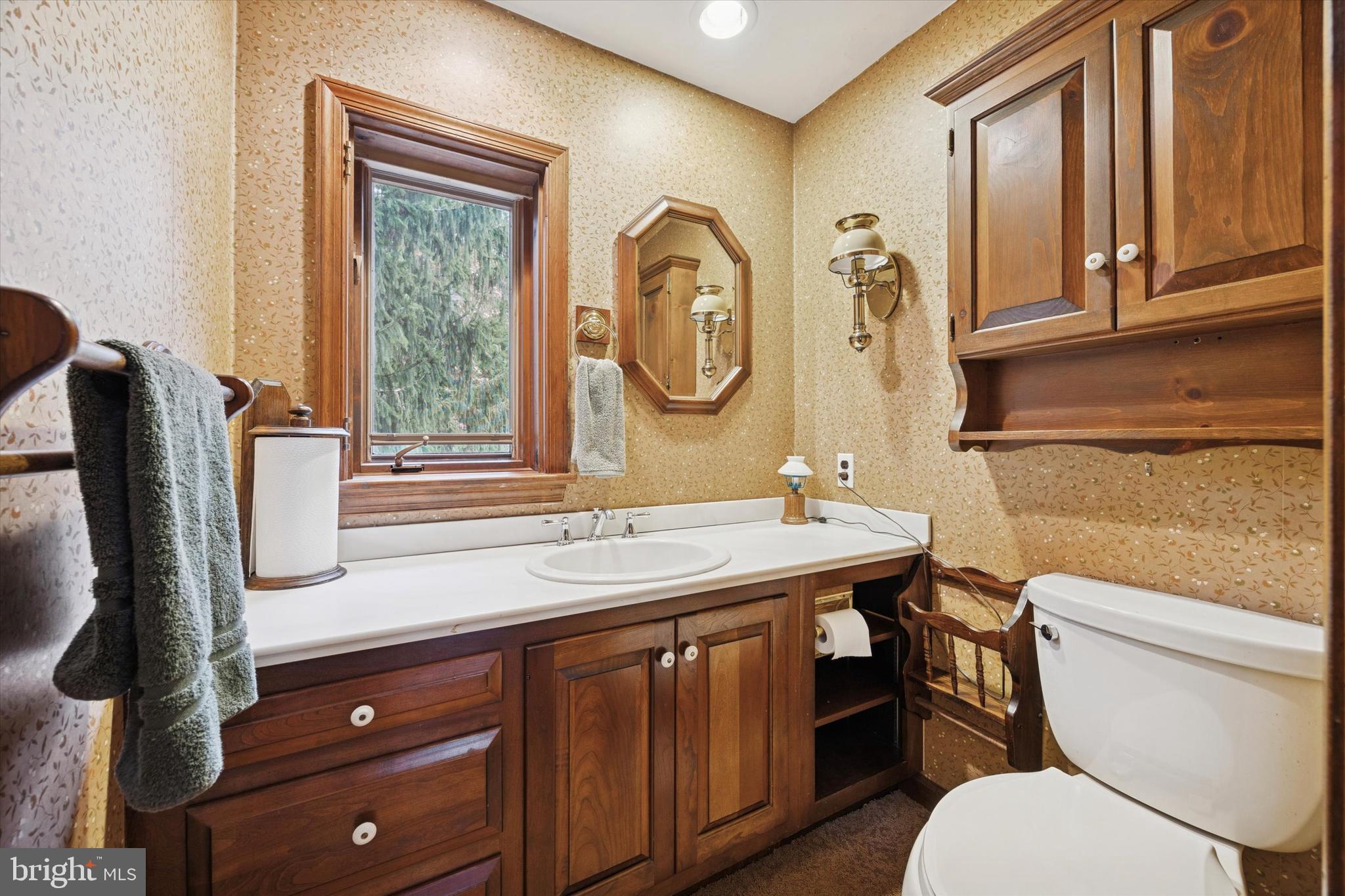 1162 Limekiln Pike Ambler, PA 19002 - Photo 39 of 56 a bathroom with a toilet a sink and a mirror