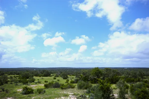 a view of a city with lots of green space
