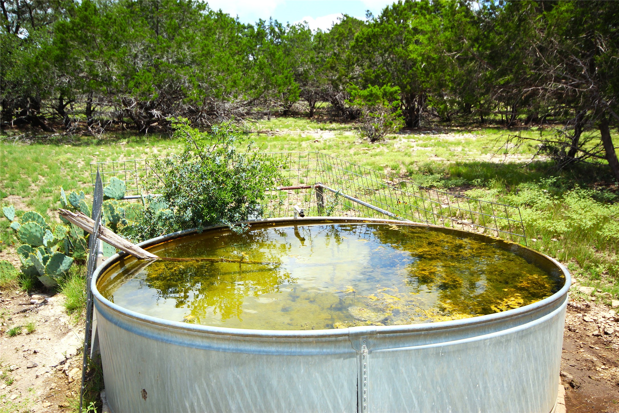 51 Dead End Rd Mountain Junction, TX 76849 - Photo 20 of 32 a view of swimming pool with a yard