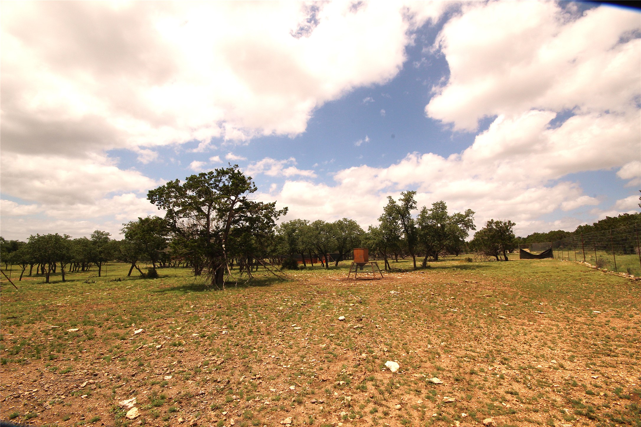 51 Dead End Rd Mountain Junction, TX 76849 - Photo 21 of 32 a view of swimming pool with a yard and large trees