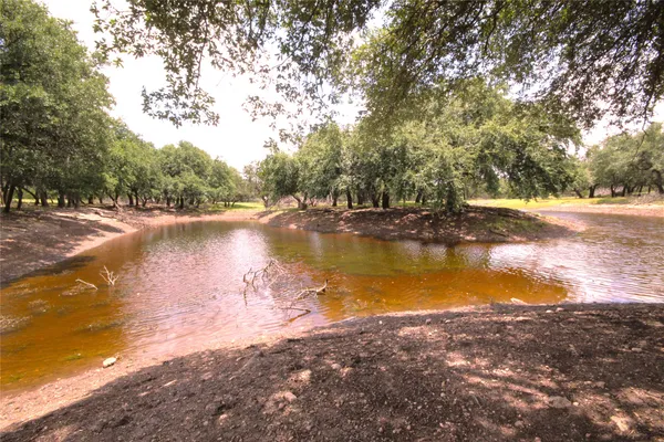 a view of a field with trees