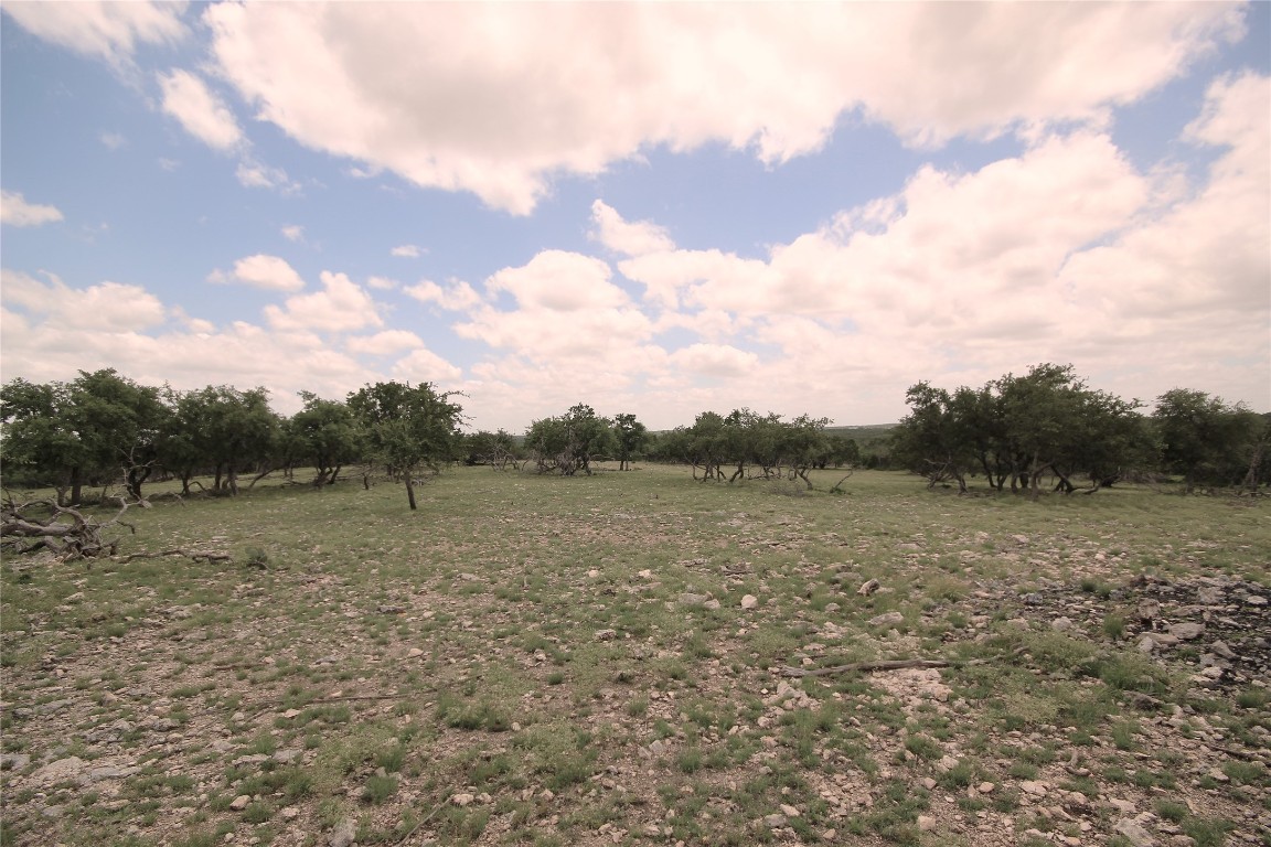 51 Dead End Rd Mountain Junction, TX 76849 - Photo 26 of 32 a view of a field with trees