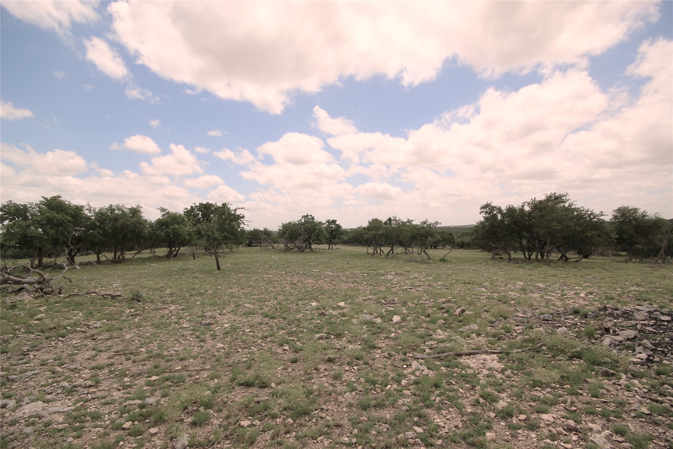 51 Dead End Rd Mountain Junction, TX 76849 - Photo 26 of 32 a view of a field with trees