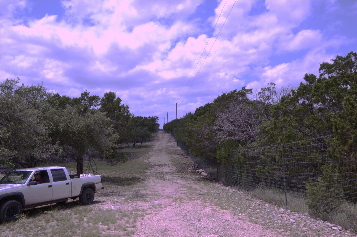51 Dead End Rd Mountain Junction, TX 76849 - Photo 3 of 32 a view of a yard with a lot of trees