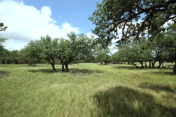a view of field with trees
