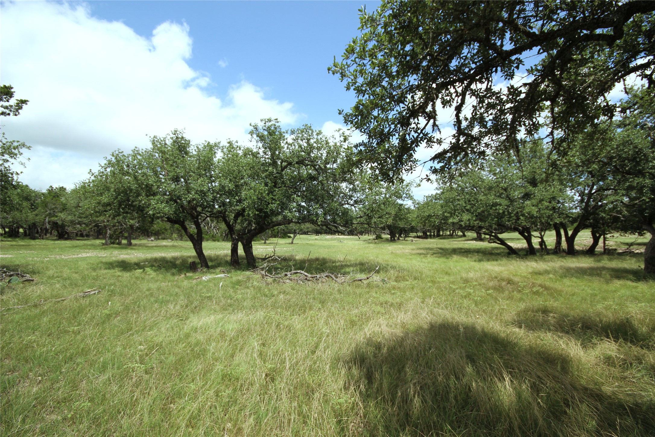 51 Dead End Rd Mountain Junction, TX 76849 - Photo 5 of 32 a view of field with trees