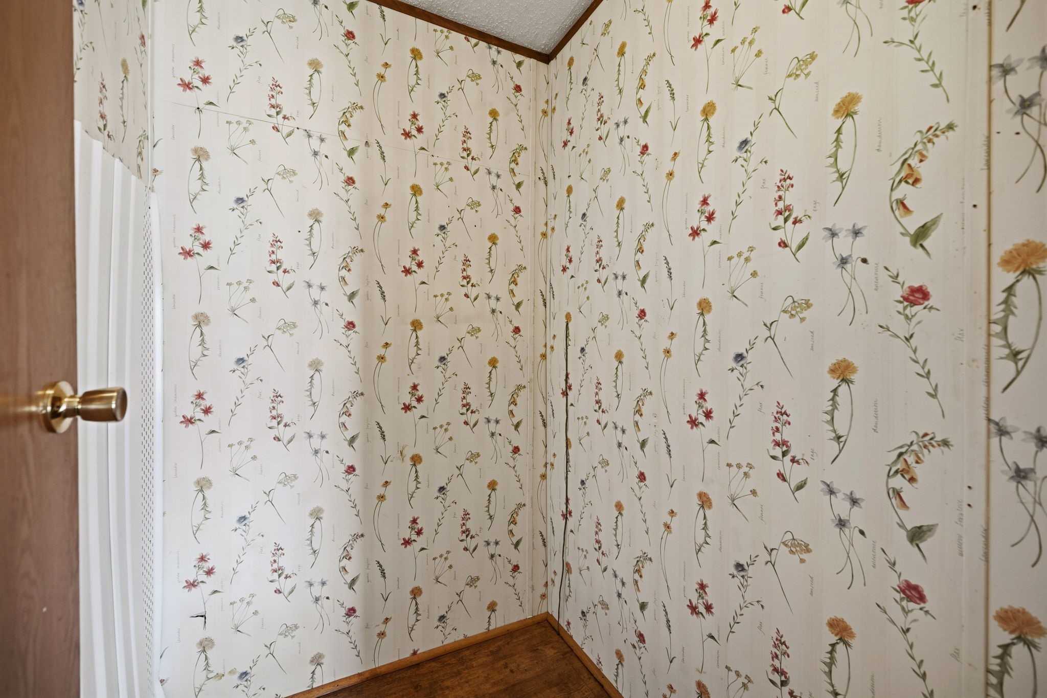207 Vivian Road Onalaska, TX 77360 - Photo 33 of 33 a bathroom with a shower curtain
