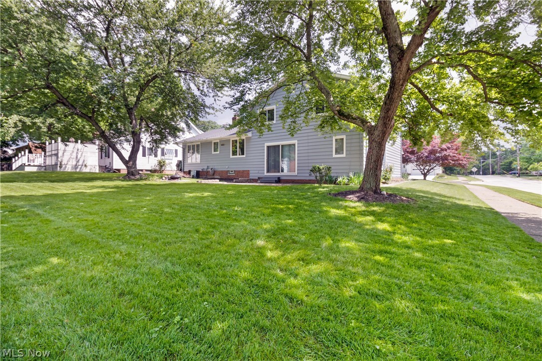 4749 Edenwood Road Cleveland, OH 44121 - Photo 33 of 35 Plenty of yard space!