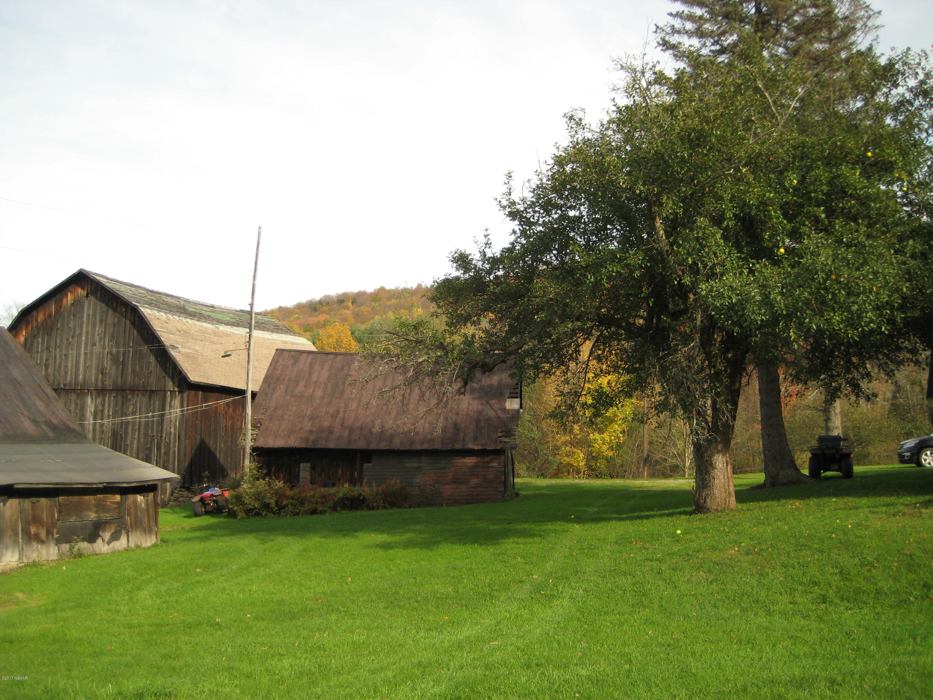 629 Litzelman Road Dushore, PA 18614 - Photo 16 of 43 IMG_1811