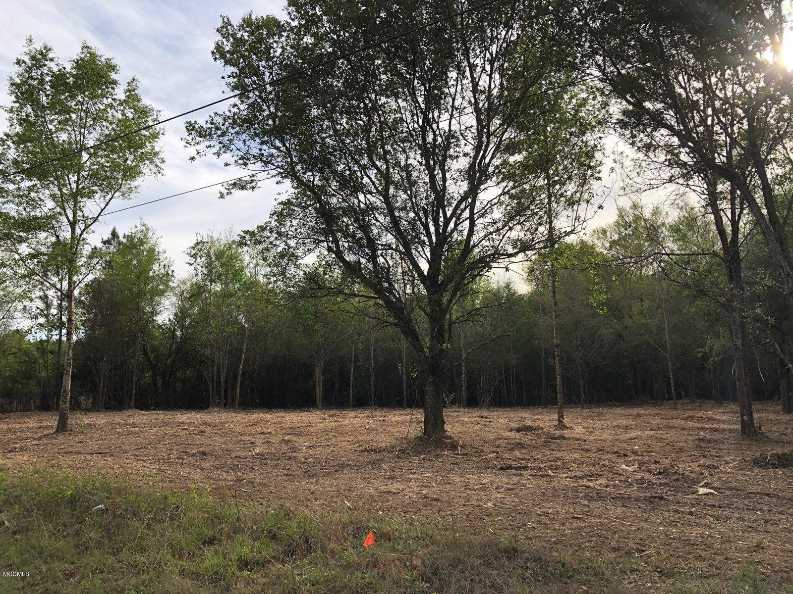 8185 Vidalia Road Pass Christian, MS 39571 - Photo 12 of 12 VidaliaPic
