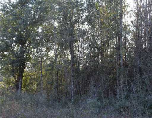 8185 Vidalia Road Pass Christian, MS 39571 - Photo 2 of 12 Additional Photo