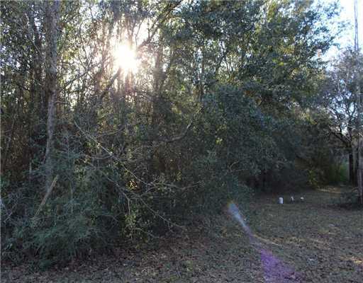 8185 Vidalia Road Pass Christian, MS 39571 - Photo 4 of 12 Additional Photo