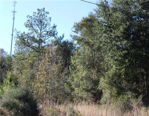 8185 Vidalia Road Pass Christian, MS 39571 - Photo 5 of 12 Additional Photo