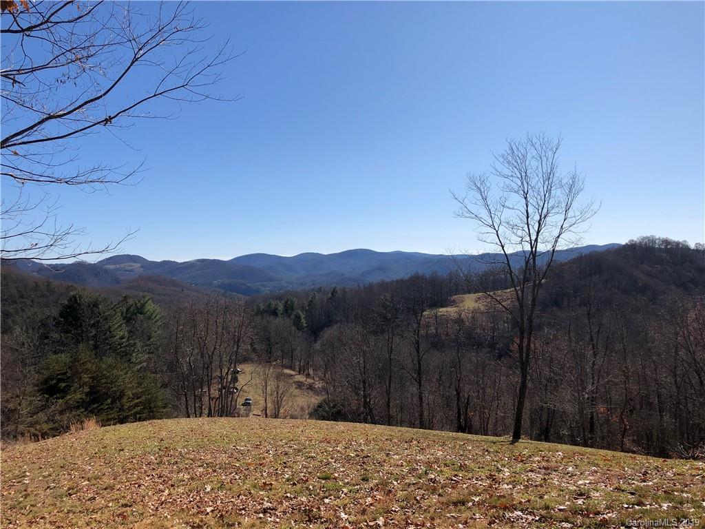 Tract A Tract A Canada Road Tuckasegee, NC 28783 - Photo 1 of 12